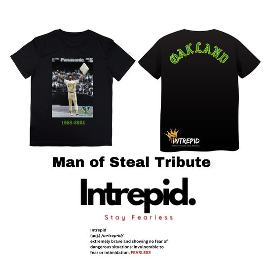 Man Of Steal Trubute